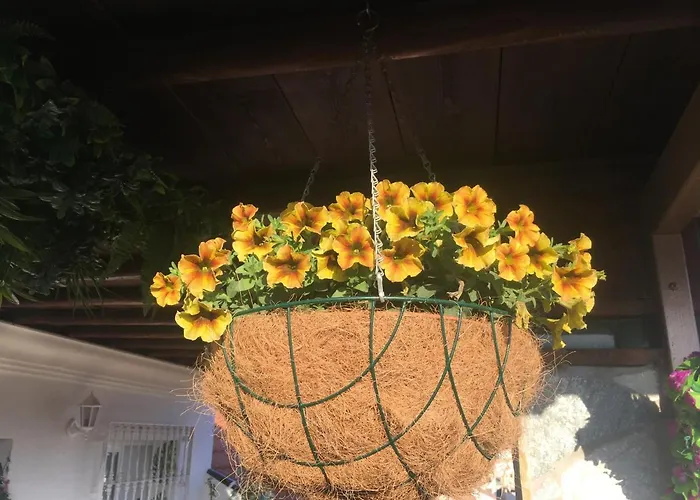 With Private Patio דירה פואנגירולה